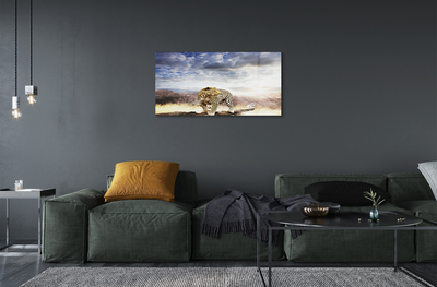 Obraz akrylowy Pantera chmury