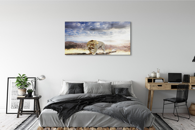 Obraz akrylowy Pantera chmury