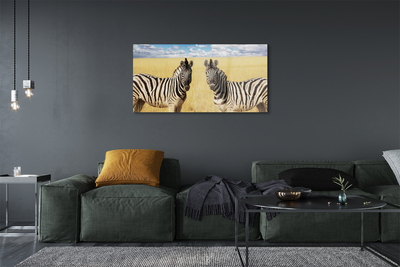 Obraz akrylowy Zebry pole