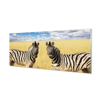 Obraz akrylowy Zebry pole