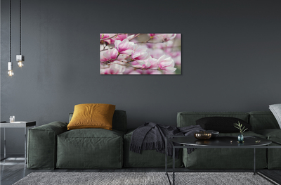 Obraz akrylowy Kwiaty drzewa