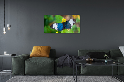 Obraz akrylowy Kolorowy motyl na kwiatach