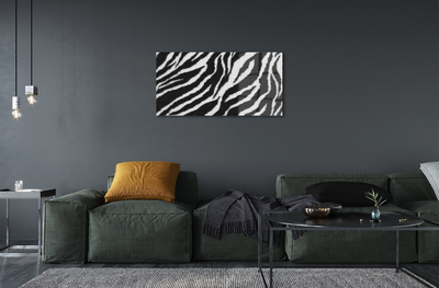 Obraz akrylowy Zebra sierść
