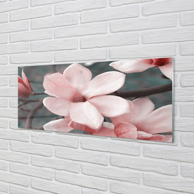 Obraz akrylowy Różowe kwiaty