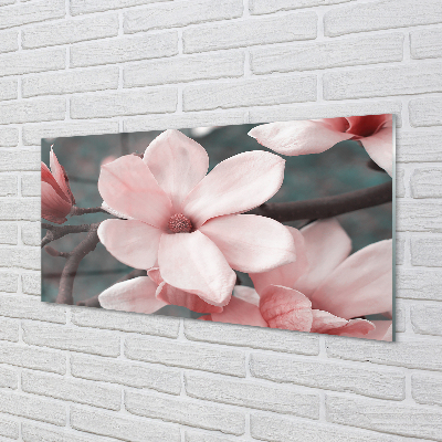 Obraz akrylowy Różowe kwiaty