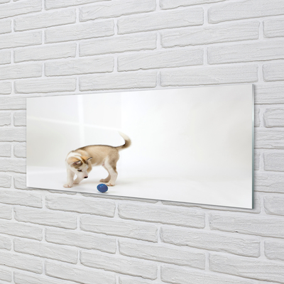 Obraz akrylowy Bawiący się pies