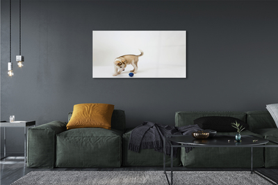 Obraz akrylowy Bawiący się pies