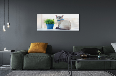 Obraz akrylowy Siedzący kot