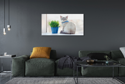 Obraz akrylowy Siedzący kot