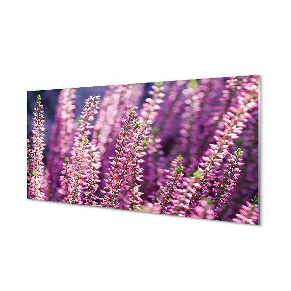 Obraz akrylowy Kwiaty