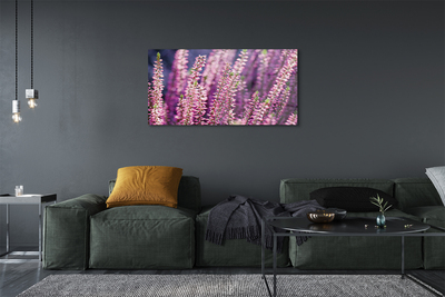 Obraz akrylowy Kwiaty