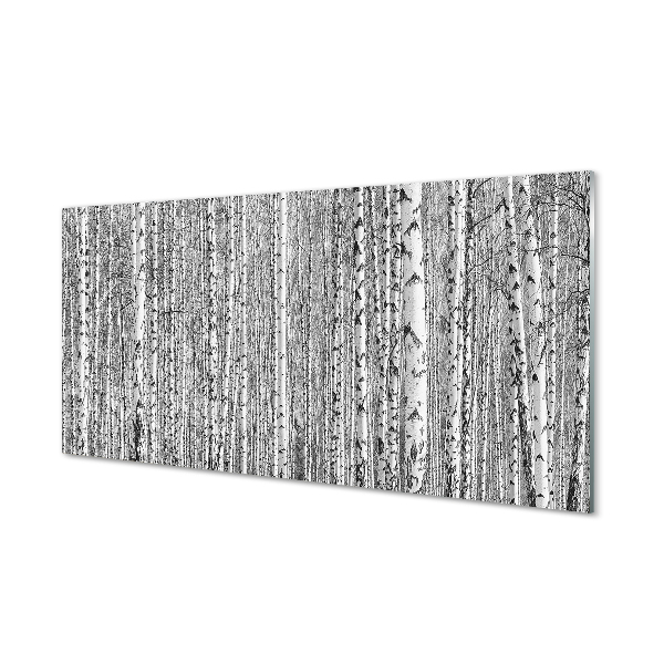 Obraz akrylowy Czarno-białe drzewa las