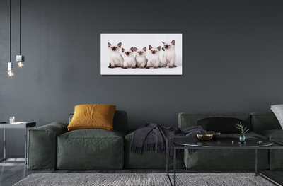 Obraz akrylowy Małe koty