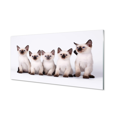 Obraz akrylowy Małe koty