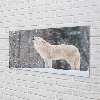 Obraz akrylowy Wilk las zima