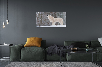 Obraz akrylowy Wilk las zima