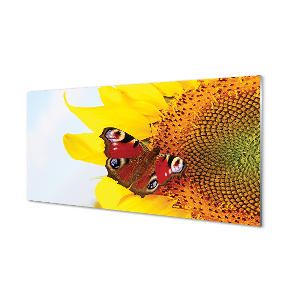 Obraz akrylowy Słonecznik motyl