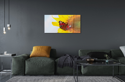 Obraz akrylowy Słonecznik motyl