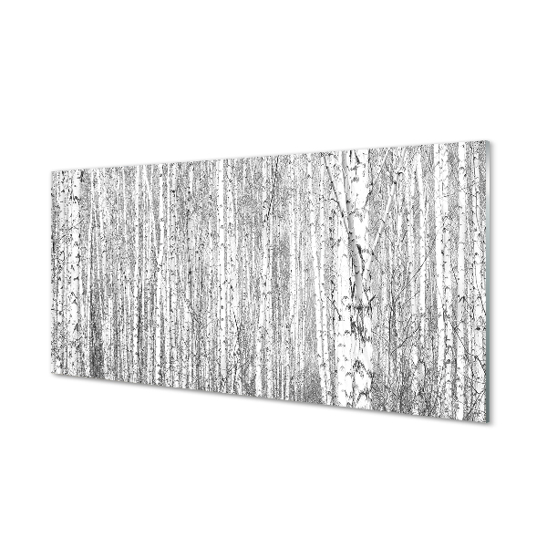 Obraz akrylowy Czarno-białe drzewa las