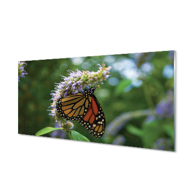 Obraz akrylowy Kwiat kolorowy motyl