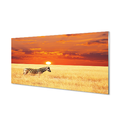 Obraz akrylowy Zebra pole zachód słońca