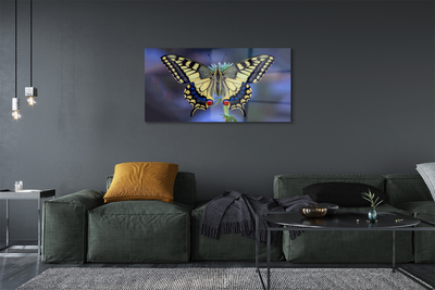 Obraz akrylowy Motyl na kwiatku