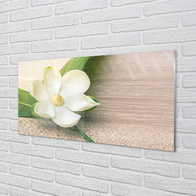 Obraz akrylowy Biała magnolia