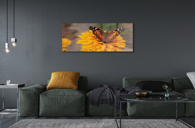 Obraz akrylowy Kolorowy motyl kwiat