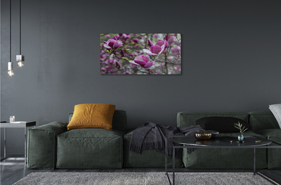 Obraz akrylowy Fioletowa magnolia