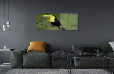 Obraz akrylowy Kolorowa papuga na gałęzi
