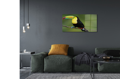 Obraz akrylowy Kolorowa papuga na gałęzi