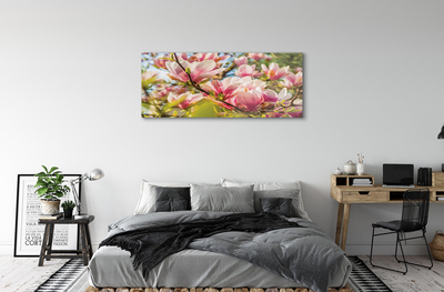 Obraz akrylowy Różowa magnolia