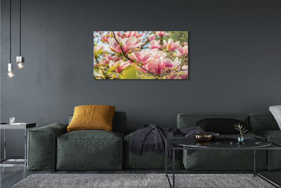 Obraz akrylowy Różowa magnolia
