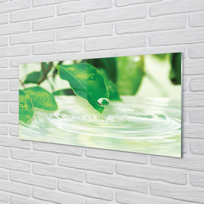 Obraz akrylowy Krople liście woda