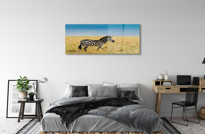 Obraz akrylowy Zebra pole