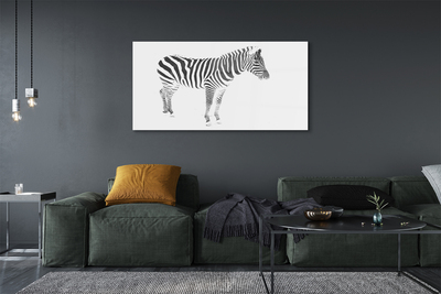 Obraz akrylowy Malowana zebra