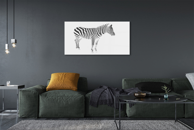Obraz akrylowy Malowana zebra