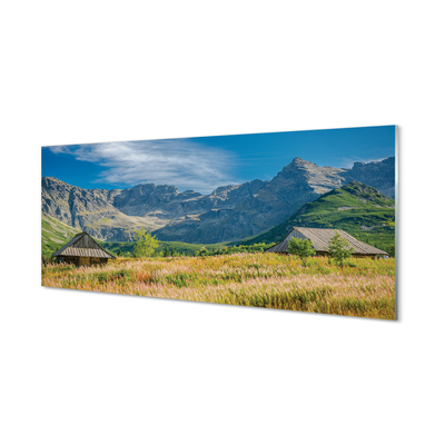 Obraz akrylowy Góry pola domki