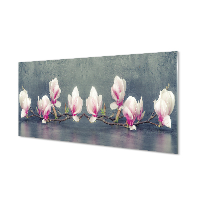 Obraz akrylowy Gałąź magnolii
