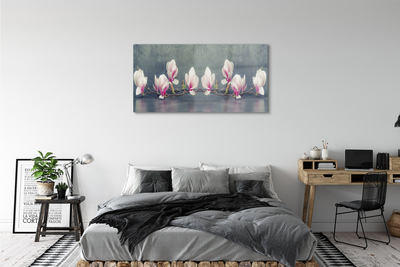 Obraz akrylowy Gałąź magnolii