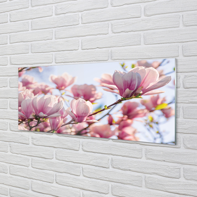 Obraz akrylowy Magnolia