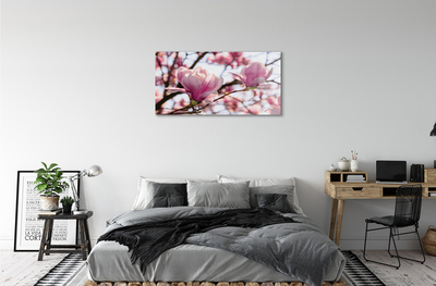 Obraz akrylowy Magnolia drzewa