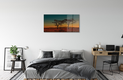 Obraz akrylowy Niebo drzewa