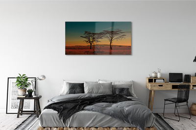 Obraz akrylowy Niebo drzewa