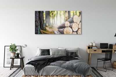 Obraz akrylowy Drewno natura las