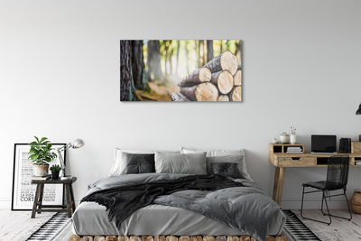 Obraz akrylowy Drewno natura las