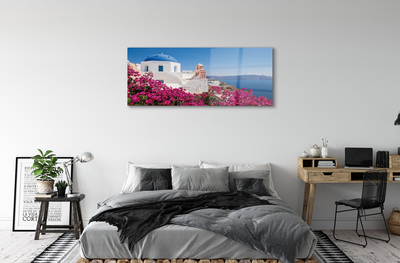 Obraz akrylowy Grecja Kwiaty morze budynki