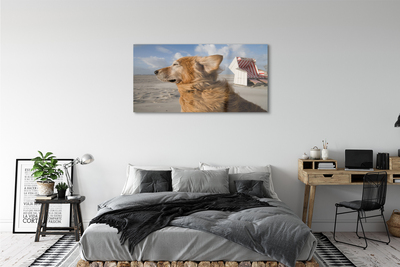 Obraz akrylowy Brązowy pies plaża