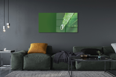 Obraz akrylowy Kropla woda liść