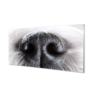 Obraz akrylowy Nos psa